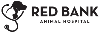 Link to Homepage of Red Bank Animal Hospital